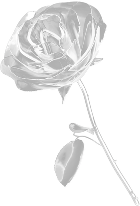3D Y2K Chrome Rose